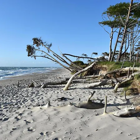 Deichkieker - Mit Balkon Im Herzen Von Appartement *