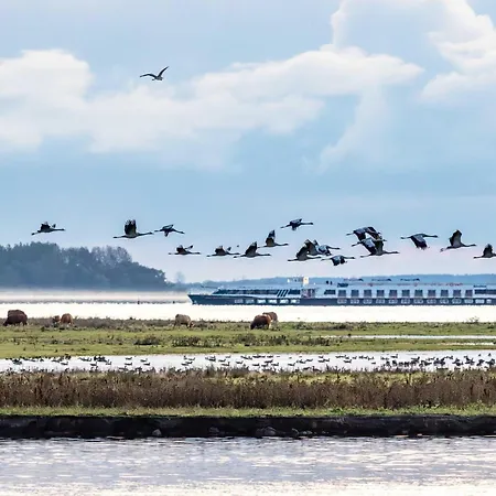 Deichkieker - Mit Balkon Im Herzen Von * Zingst
