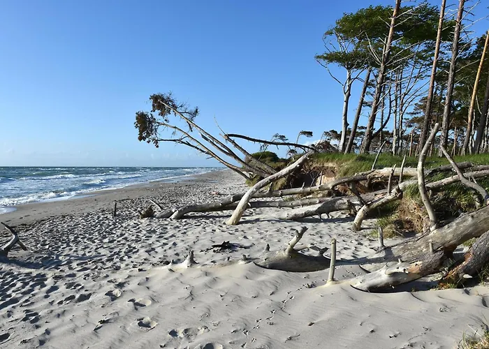 Deichkieker - Mit Balkon Im Herzen Von 아파트 *