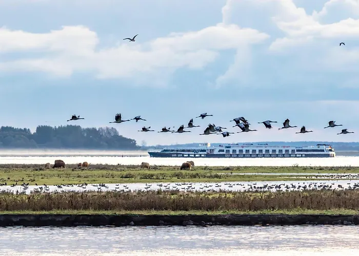 Deichkieker - Mit Balkon Im Herzen Von * 징스트